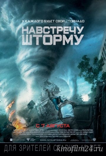 Навстречу шторму / Into the Storm