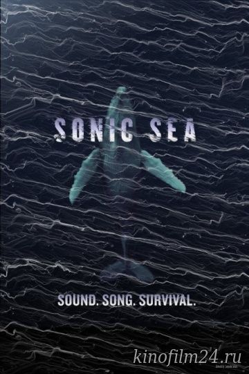 Оглушающий океан / Sonic Sea