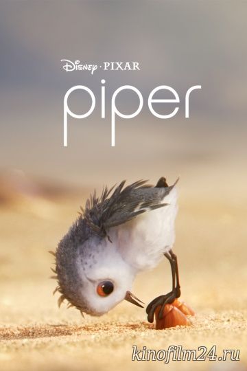 Песочник / Piper